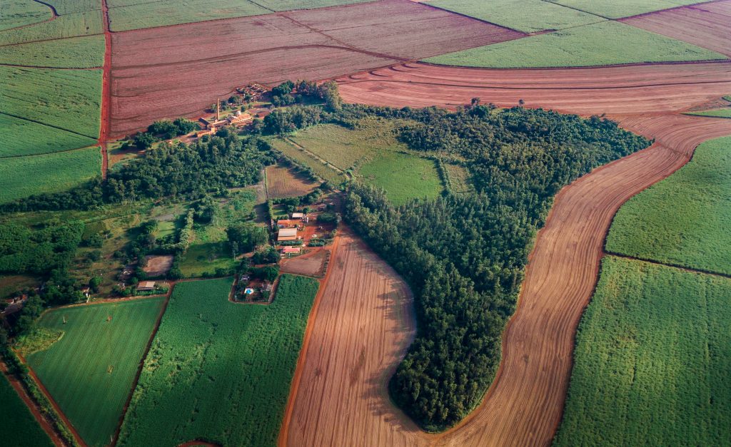 vista aérea do Museu da Cana rodeado pela mata