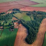 vista aérea do Museu da Cana rodeado pela mata