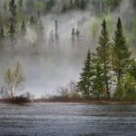 river, forest, fog, landscape, trees, conifers, mist, lake, spring, climate change, ecosystem, ecology, wetland, nature, biodiversity, national park, nature reserve, quebec, canada