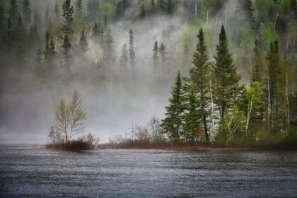 river, forest, fog, landscape, trees, conifers, mist, lake, spring, climate change, ecosystem, ecology, wetland, nature, biodiversity, national park, nature reserve, quebec, canada